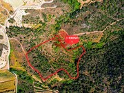 Terreno R�stico - Longroiva, Meda, Guarda - Miniatura: 4/9