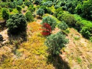Terreno R�stico - Longroiva, Meda, Guarda - Miniatura: 6/9