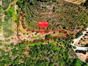 Terreno R�stico - Longroiva, Meda, Guarda - Miniatura: 7/9