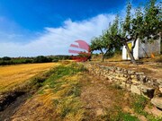 Terreno R�stico - Meda, Meda, Guarda - Miniatura: 2/9