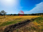 Terreno R�stico - Meda, Meda, Guarda - Miniatura: 6/9