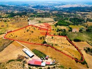Terreno R�stico - Meda, Meda, Guarda - Miniatura: 9/9