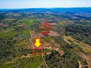 Terreno R�stico - Freixo de Num�o, Vila Nova de Foz C�a, Guarda - Miniatura: 1/4