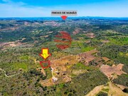 Terreno R�stico - Freixo de Num�o, Vila Nova de Foz C�a, Guarda - Miniatura: 2/4