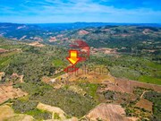 Terreno R�stico - Freixo de Num�o, Vila Nova de Foz C�a, Guarda - Miniatura: 3/4