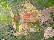 Terreno R�stico - Freixo de Num�o, Vila Nova de Foz C�a, Guarda - Miniatura: 4/4