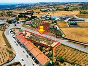 Terreno R�stico - Meda, Meda, Guarda - Miniatura: 2/4
