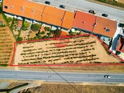 Terreno R�stico - Meda, Meda, Guarda - Miniatura: 4/4