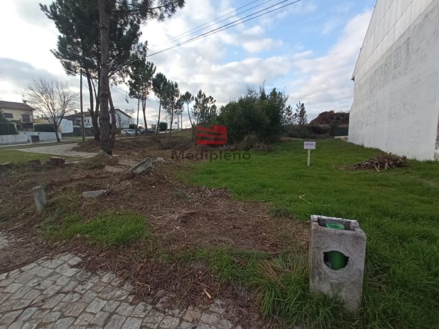Terreno R�stico - Mund�o, Viseu, Viseu - Imagem grande