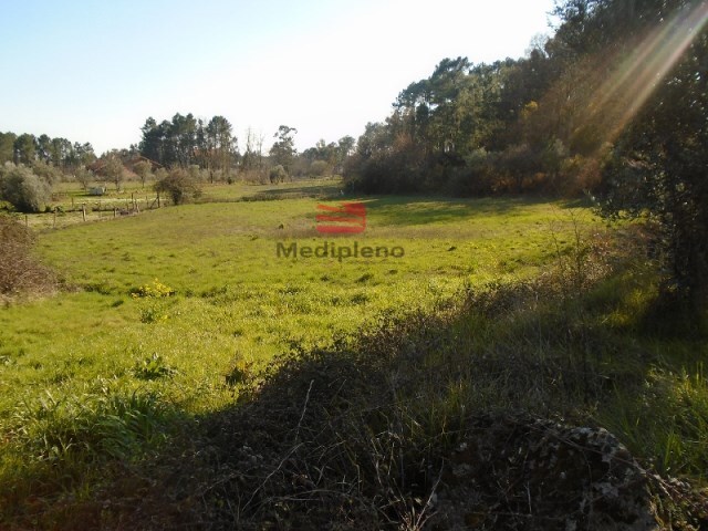 Terreno R�stico - Cavern�es, Viseu, Viseu - Imagem grande
