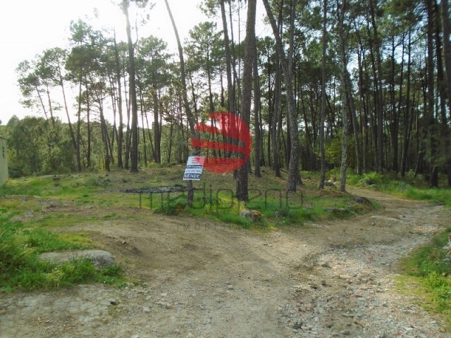 Terreno R�stico - S. Jo�o de Lourosa, Viseu, Viseu - Imagem grande