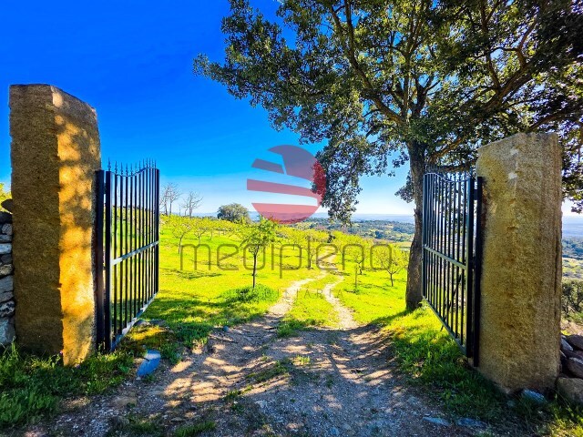 Terreno R�stico - Meda, Meda, Guarda - Imagem grande