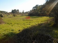 Terreno R�stico - Cavern�es, Viseu, Viseu