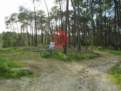 Terreno R�stico - S. Jo�o de Lourosa, Viseu, Viseu