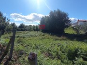 Terreno R�stico - Campo, Viseu, Viseu - Miniatura: 3/4