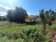 Terreno R�stico - Campo, Viseu, Viseu - Miniatura: 4/4