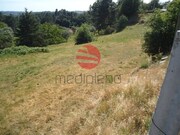 Quinta - Santos Evos, Viseu, Viseu - Miniatura: 7/9