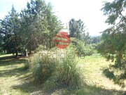 Quinta - Santos Evos, Viseu, Viseu - Miniatura: 8/9