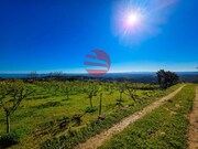 Terreno R�stico - Meda, Meda, Guarda - Miniatura: 2/9
