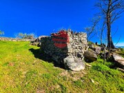 Terreno R�stico - Meda, Meda, Guarda - Miniatura: 4/9