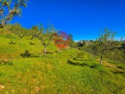 Terreno R�stico - Meda, Meda, Guarda - Miniatura: 5/9