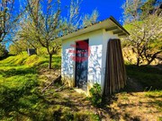 Terreno R�stico - Meda, Meda, Guarda - Miniatura: 6/9