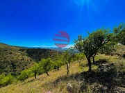 Terreno R�stico - Meda, Meda, Guarda - Miniatura: 5/9