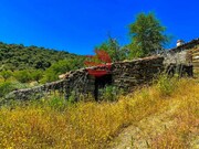 Terreno R�stico - Meda, Meda, Guarda - Miniatura: 6/9