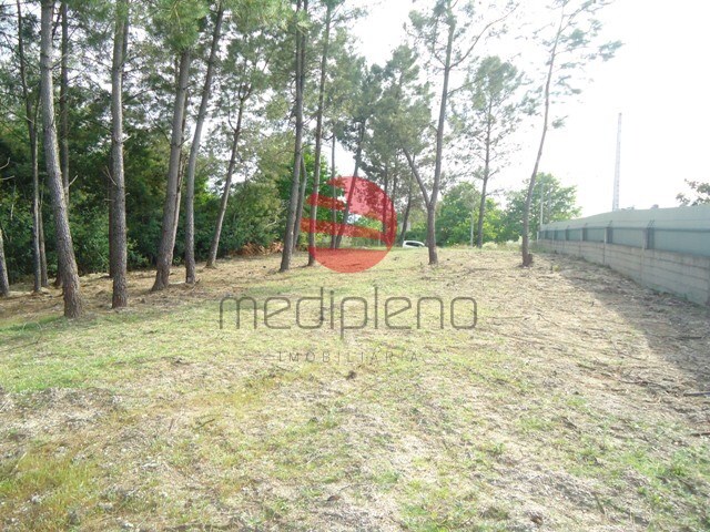 Terreno Rstico - S. Joo de Lourosa, Viseu, Viseu - Imagem grande