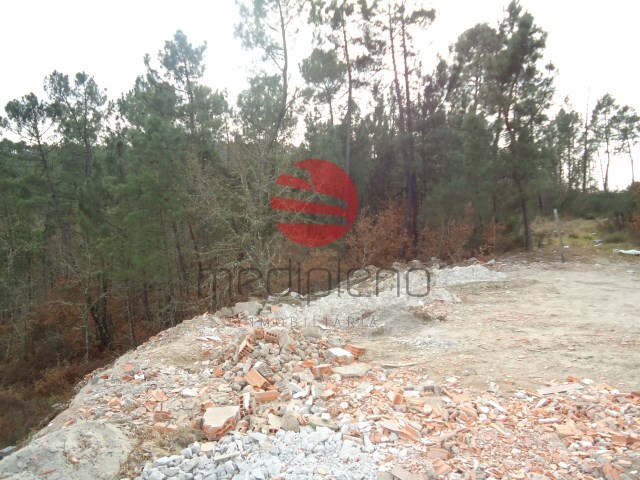 Terreno R�stico - Calde, Viseu, Viseu - Imagem grande