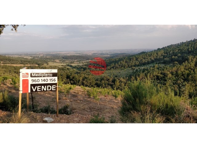 Terreno R�stico - Castelo Rodrigo, Figueira de Castelo Rodrigo, Guarda - Imagem grande