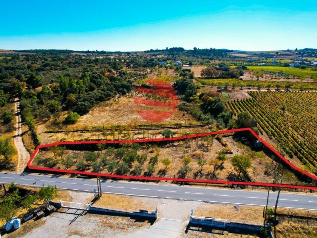 Terreno R�stico - Touca, Vila Nova de Foz C�a, Guarda - Imagem grande