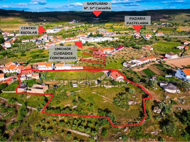 Quinta - Freixo de Num�o, Vila Nova de Foz C�a, Guarda - Imagem grande