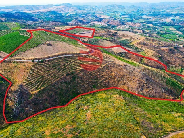 Terreno R�stico - Cedovim, Vila Nova de Foz C�a, Guarda - Imagem grande