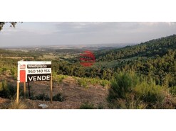 Terreno R�stico - Castelo Rodrigo, Figueira de Castelo Rodrigo, Guarda
