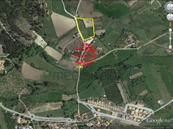 Terreno R�stico - Leomil, Moimenta da Beira, Viseu