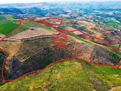 Terreno R�stico - Cedovim, Vila Nova de Foz C�a, Guarda