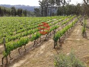Terreno R�stico - S. Jo�o de Lourosa, Viseu, Viseu - Miniatura: 1/4