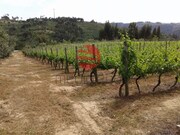 Terreno R�stico - S. Jo�o de Lourosa, Viseu, Viseu - Miniatura: 2/4