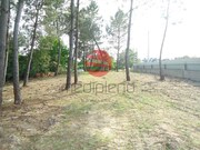 Terreno Rstico - S. Joo de Lourosa, Viseu, Viseu - Miniatura: 2/2