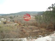 Terreno R�stico - Calde, Viseu, Viseu - Miniatura: 1/3