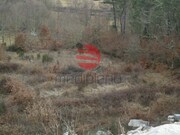 Terreno R�stico - Calde, Viseu, Viseu - Miniatura: 3/3