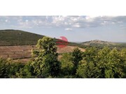 Terreno R�stico - Castelo Rodrigo, Figueira de Castelo Rodrigo, Guarda - Miniatura: 4/9
