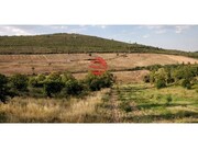 Terreno R�stico - Castelo Rodrigo, Figueira de Castelo Rodrigo, Guarda - Miniatura: 5/9