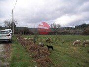 Terreno R�stico - Leomil, Moimenta da Beira, Viseu - Miniatura: 1/4