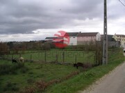 Terreno R�stico - Leomil, Moimenta da Beira, Viseu - Miniatura: 4/4