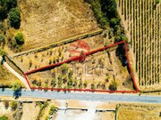 Terreno R�stico - Touca, Vila Nova de Foz C�a, Guarda - Miniatura: 2/2