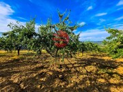 Terreno R�stico - Cedovim, Vila Nova de Foz C�a, Guarda - Miniatura: 3/9