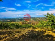 Terreno R�stico - Cedovim, Vila Nova de Foz C�a, Guarda - Miniatura: 5/9