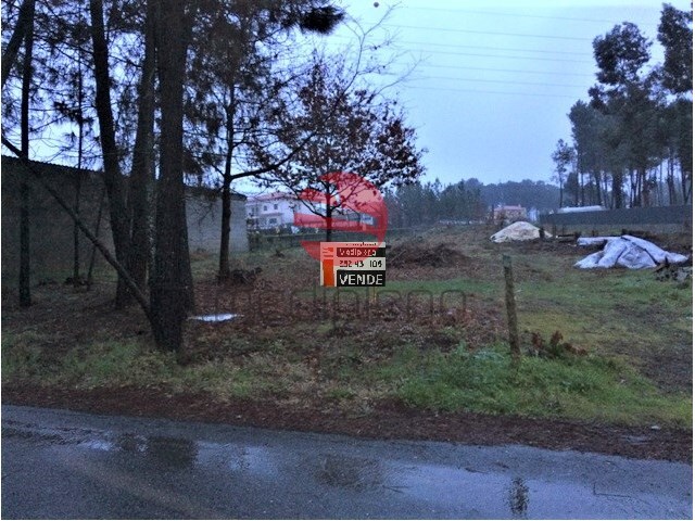 Terreno R�stico - Campo, Viseu, Viseu - Imagem grande